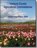 2005cover