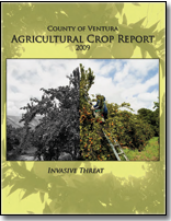 2009 cover
