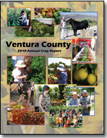2010 cover