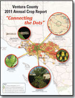 2011 cover