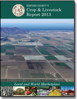 2013 cover
