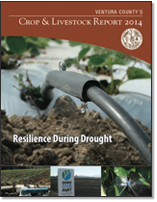 2014 cover