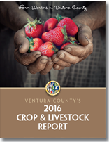 2016 cover