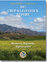 2017 cover