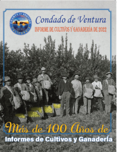 2022 Cover - Spanish