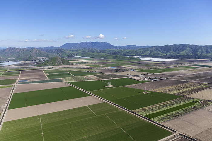Farm Aerial Veiw